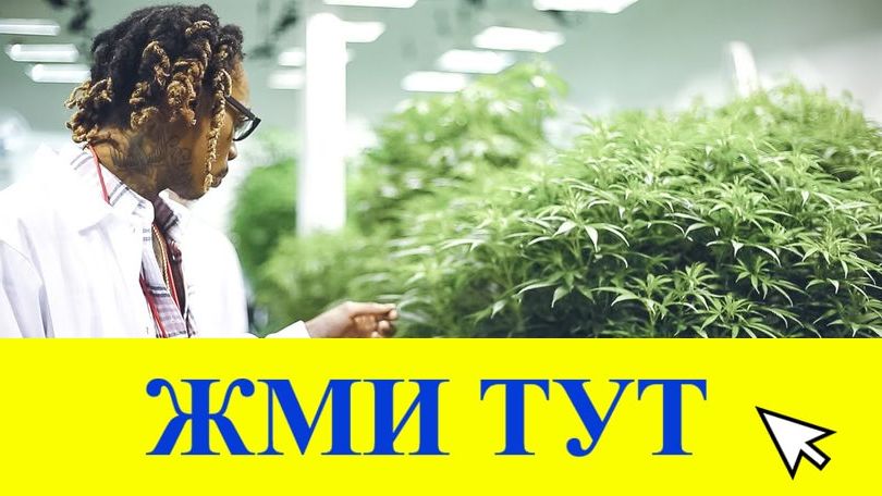 Купить наркотики в Донецке